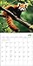 Red Pandas Wall Calendar