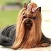 BINGPET 30 Pcs/15 Pairs Dog Hair Bows with Rubber Band Cute Plaid Bowknot Topknot Pet Grooming Dog Hair Accessories