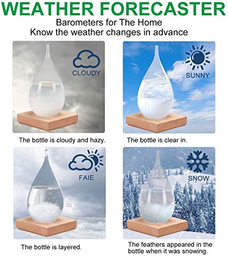Gyrategirl Storm Glass, 2020 New Weather Stations Weather Predictor, Creative Forecast Nordic Style Decorative Weather Glass Barometer Weather Bottle