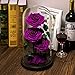 Preserved Real Rose Handmade Eternal Rose in Glass Doom Gifts for Her Valentine's Day Mother's Day Anniversary Birthday (3 Purple Rose)