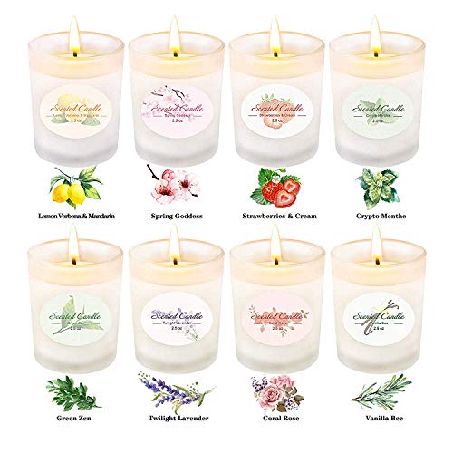YINUO LIGHT Scented Candles Gifts Set for Women, 8 x 2.5 Oz Portable Glass Soy Candles with Strongly Fragrance Essential Oils for Stress Relief and Aromatherapy