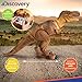 Discovery Kids Remote Control RC T Rex Dinosaur Electronic Toy Action Figure Moving & Walking Robot w/Roaring Sounds & Chomping Mouth, Realistic Plastic Model, Boys & Girls 6 Years Old+