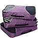 eBags Large Packing Cubes - 3pc Set (Eggplant)