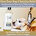 4Legger All Natural Organic Oatmeal Dog Shampoo for Itchy Skin with Aloe, Coconut & Lavender Essential Oil, Hypoallergenic, Moisturizing for Normal, Dry, Itchy, or Sensitive Skin, USA Made, 16 oz