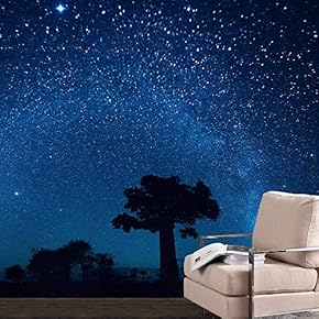 signwin Wall Mural The Beautiful Space World Removable...