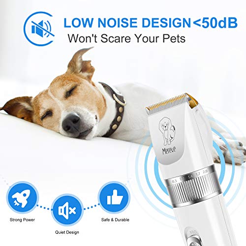 large dog grooming kit