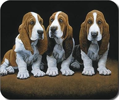 basset hound gifts amazon