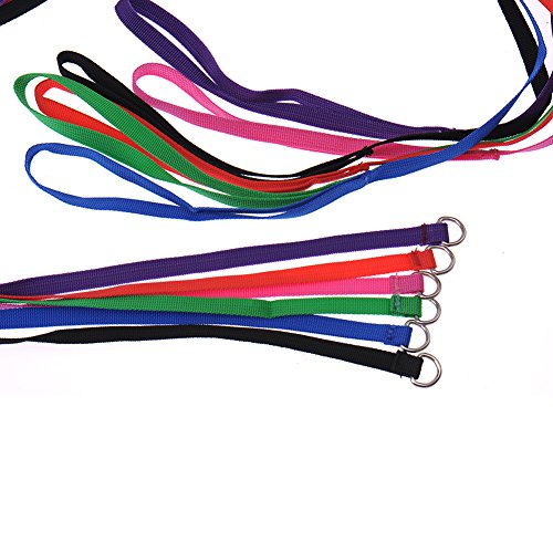 thumbnail interactive-video image 1 of 12 Pack 6-Foot Slip Leads For Dogs - Nylon Kennel Leads With O Ring For Grooming, Vets, Shelters, Daycare (Assorted Colors) 1 of 9
