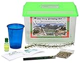 LIVE Frog Growing Kit SHIPPED WITH 2 Tadpoles- Leopard Frog