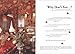 Diana Vreeland: Bazaar Years
