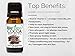BioFinest Cocoa Organic Oil - 100% Pure Cold-Pressed - Best Moisturizer For Hair Face Skin Acne Sunburn Cuts Wrinkle Scars Eczema - Essential Magnesium, Antioxidant, Vitamin A - FREE E-Book (10ml)
