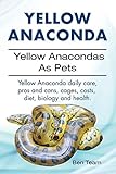 Yellow Anaconda. Yellow Anacondas As Pets. Yellow Anaconda daily care, pro's and cons, cages, costs, by 