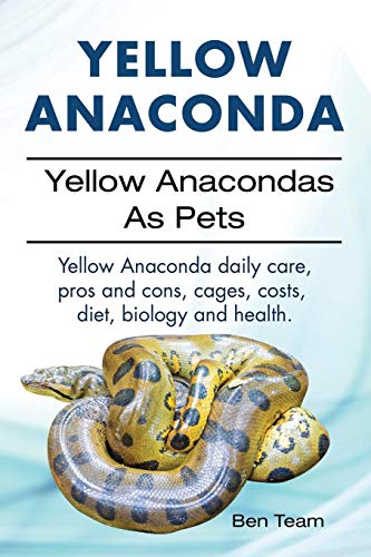 Yellow Anaconda. Yellow Anacondas As Pets. Yellow Anaconda daily care, pro's and cons, cages, costs, by Ben Team