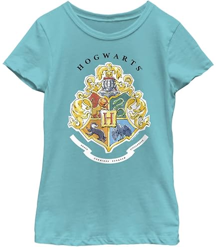 Amazon.com: Harry Potter Hogwarts Vintage Crest Short Sleeve T