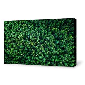 Canvas Wall Art-Aerial Photo-Canvas Prints Home Artwork Decoration for Living Room,Bedroom - 12x18 inches