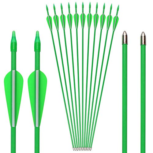 image for GPP 12 PK 28 Fiberglass Archery Target Arrows - Practice Arrow or Yout