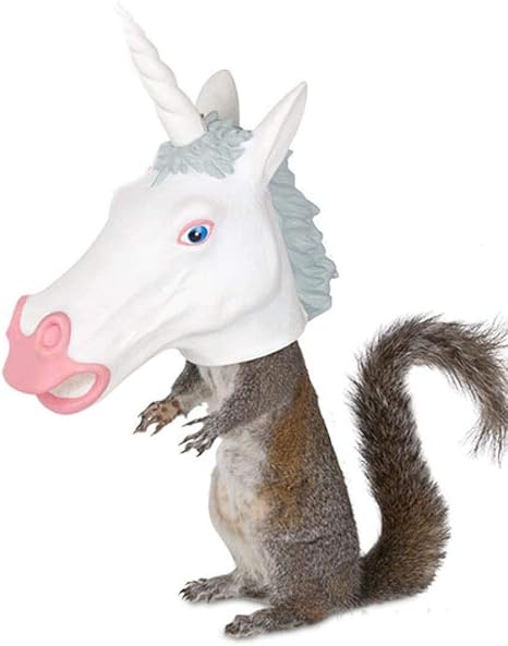 Unicorn Squirrel Feeder Amazon Co Uk Toys Games