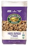 Nature's Path Organic Mesa Sunrise with Raisins Eco Pac, 29.1 Ounce