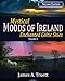 Mystical Moods of Ireland, Vol. II: Enchanted Celtic Skies 2 (Volume 2) by James A. Truett