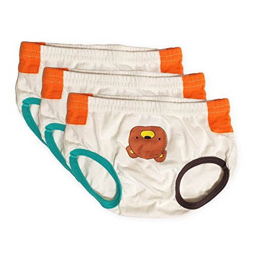 Tiny Undies Unisex Baby Underwear 3 Pack (6 Months, Bear/learn)