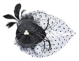 Fascinator on Hairclip for Women Mesh Feather A-Black