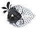 Fascinator on Hairclip for Women Mesh Feather A-Black
