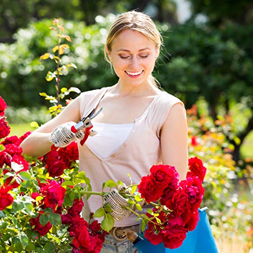 Relaxdays Rosenbogen mit Pflanzkästen, Metall, wetterfest, Rankhilfe Kletterpflanzen, Garten, HBT 226 x 204 x 45cm, grün, Dunkelgrün – Bild 6