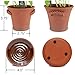 Window Garden Rustic Charm Herb Trio Kit with Planter Pots, Slate Markers, Fiber Soil, Germination Bags, Basil, Chive and Sage Seeds. Complete and Easy to Grow on Indoor Kitchen Windowsill.