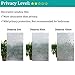 3D Frosted Decorative Window Film No Glue, Window Decal Glass Film/Privacy Protection/Heat Control/Anti UV, Stained Glass Static Cling for Kitchen/Bedroom/Livingroom, 35.5x78.7 inch Polygon