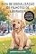 Livro Guia de Socialização de Filhotes de Labrador: Estratégias Essenciais para Expor seu cão a Pessoas, Lugares e sons sem Medo e Estresse