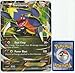 Pokemon Garchomp EX JUMBO OVERSIZED Promo Card From Collection Box