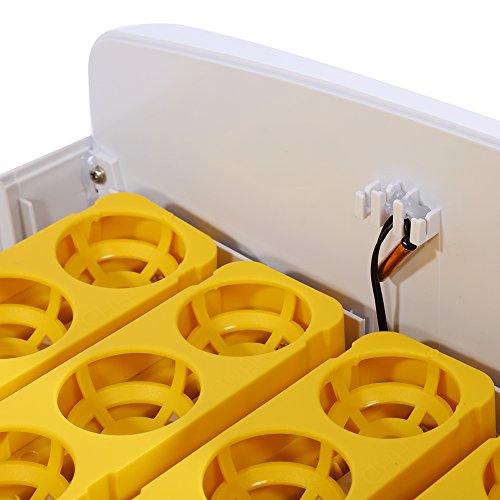 SALUTUY 56 Automatische Hühnerei-Brutmaschine mit Temperaturregelung 24 Eier Digitale Automatische Hühner Enten Eier… – Bild 7