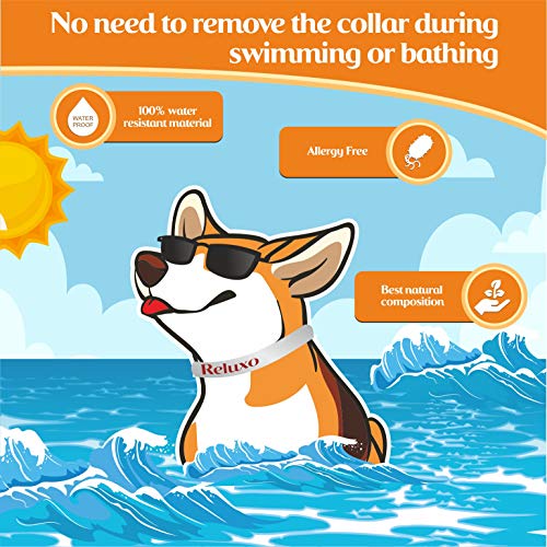 Dog Flea and Tick Collar - Flea and Tick Prevention for Dogs Up to 1 Year Easily Adjustable and Waterproof for Large Small Dogs Flea and Tick Control - Natural Dog Flea Collar for Pet 24.5