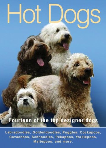 top designer dogs
