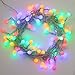 Ball Fairy Lights, 39 ft 100 LED Colorful Globe Fairy Light with 31V Plug Multicolor with Wireless Remote Control and Timer 6 Modes Dimmable