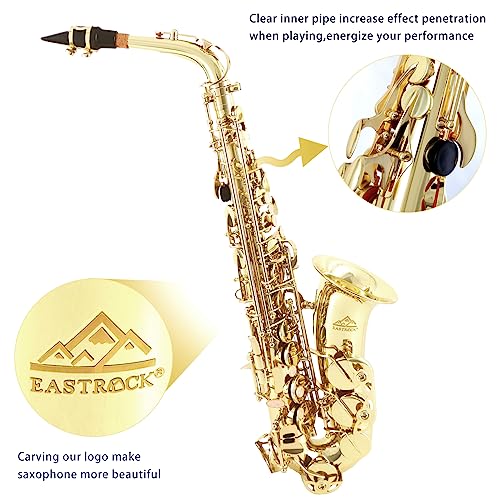 EASTROCK Alto Saxophone Gold E Flat Sax Full Kit for Students Beginner