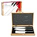 Ceramic Knife Set - Premium, Professionally-Balanced Knives (Set of 3 Unique Blades) with Wooden Carrying Case