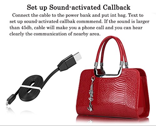 Jiusion GPS Spy Audio Sound Listening USB Cable Charger Surveillance Device Quad-band Real Time Tracker GSM GPRS System Bag Vehicle Tracking Alarm Device (Lightning for iPhone iPod iPad)