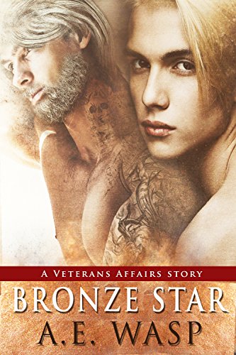 Bronze Star: A Veterans Affairs Novel