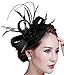 Fascinators Hat, Fascigirl Sinamay Feather Veil Flower Pillbox Hat Hair Clip Kentucky Derby Hat for Women Girls Party Wedding