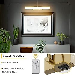 Ralbay Battery Operated Picture Light Gold Modern
