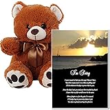 Sorry Poem - Say I'm Sorry with This Sincere Poem in a 5x7 Inch Clear Acrylic Picture Frame and Sweet 10 Inch Teddy Bear.