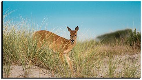 SHBO ART Modern HD dune deer Landscape Painting Printed on Canvas Unframed Canvas Wall Art Home Decor for Home Living Room(9x16inch)