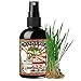 Poo-Pourri Before-You-Go Toilet Spray 4-Ounce Bottle, Poo-Pourri Bass Ackwards Mountain Air Pine Scent