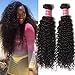 Nadula 8A Unprocessed Brazilian Curly Virgin Human Hair with Free Part Lace Closure Pack of 4 Remy Human Hair Natural Color (16 18 20+14closure)