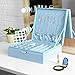 NEX Jewelry Box Organizer, 2 Layers Lint Jewelry Display Storage Case with Lock for Girls and Women(Blue)