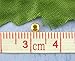 Smooth Polished Finish Metal Spacer Round Beads Tiny Ball Beads for (Gold 2000pcs 3mm)