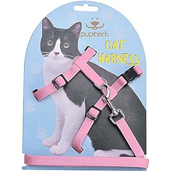 collar antiescape gatos