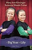 Big Year for Lily (The Adventures of Lily Lapp) by Mary Kinsinger