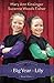 Big Year for Lily (The Adventures of Lily Lapp) by Mary Kinsinger